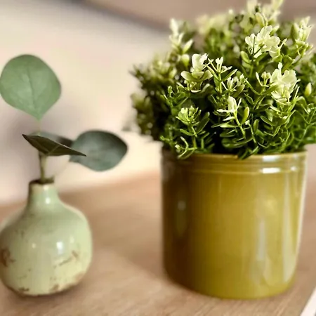 Splendide Loft Avec Jacuzzi Et Cinema - Cap D'agde Lejlighed Agde